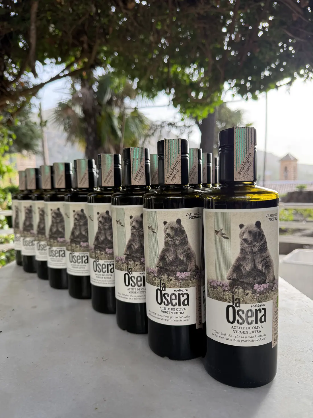 Botellas reales de La Osera preparadas en la almazara
